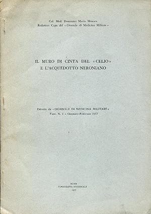 Il muro di cinta del "Celio" e l'acquedotto neroniano. Estratto