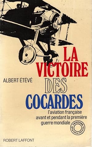 La victoire des Cocardes, L'aviation française avant et pendant la Première Guerre mondiale