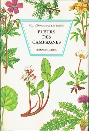 Fleurs des campagnes