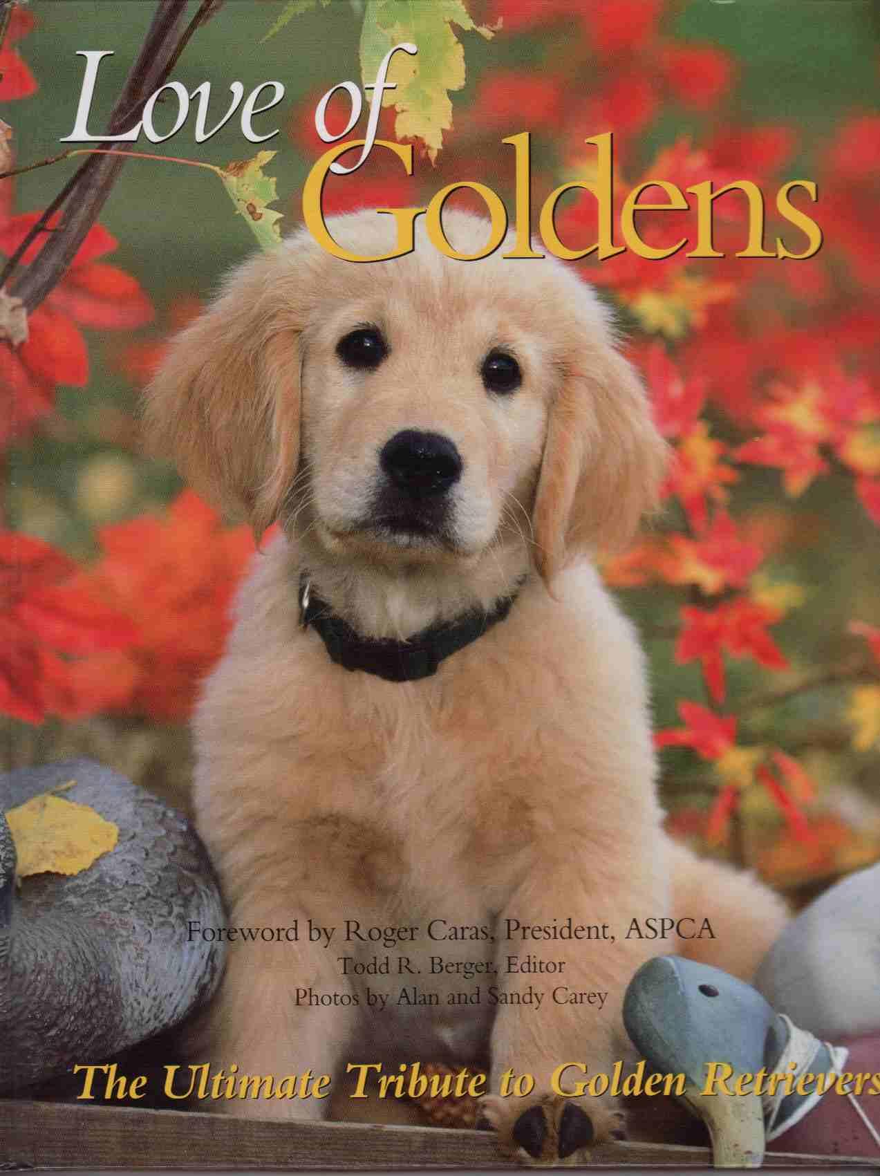 LOVE OF GOLDENS The Ultimate Tribute to Golden Retrievers LOVE OF GOLDENS The Ultimate Tribute to Golden Retrievers