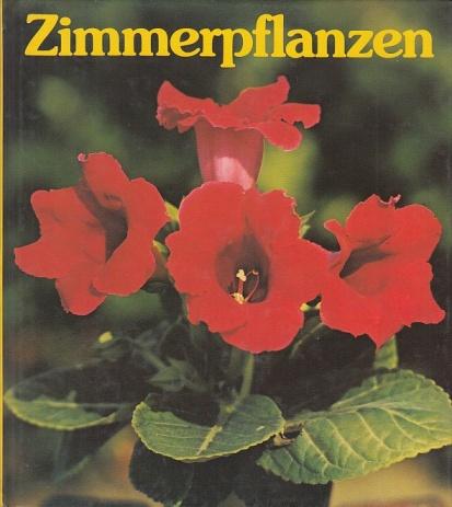 Zimmerpflanzen