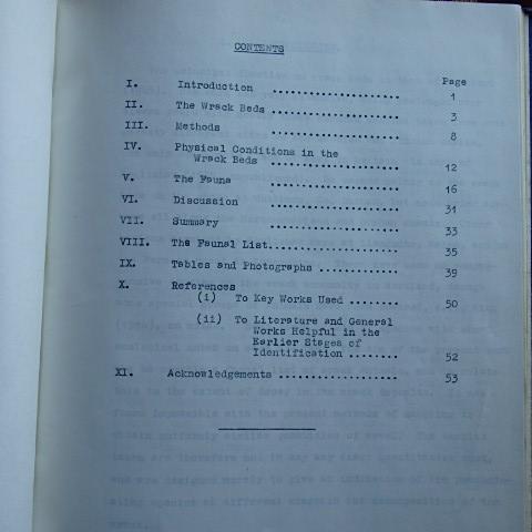 Destination dissertation book