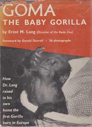 Goma, The Baby Gorilla