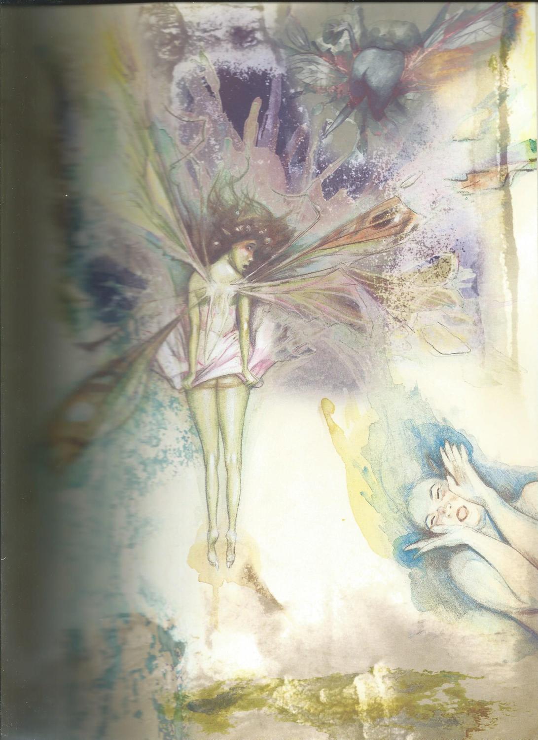 LADY COTTINGTONS PRESSED FAIRY BOOK 10 3 4 Anniversary Edition Plus Bonus DVD Froud LADY COTTINGTONS PRESSED FAIRY BOOK 10 3 4 Anniversary Edition Plus Bonus DVD Froud
