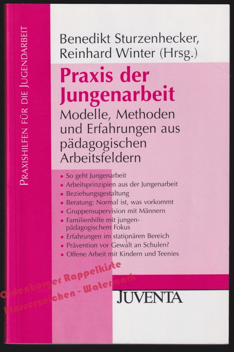 Praxis der Jungenarbeit: Modelle, Methoden und Erfahrungen aus pädaogoischen Arbeitsfeldern - Sturzenhecker, Benedikt/ Winter, Reinhard - Sturzenhecker, Benedikt/ Winter, Reinhard