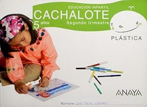 Educacion infantil. CACHALOTE, 5 años. PLASTICA. Segundo trimestre. ANAYA