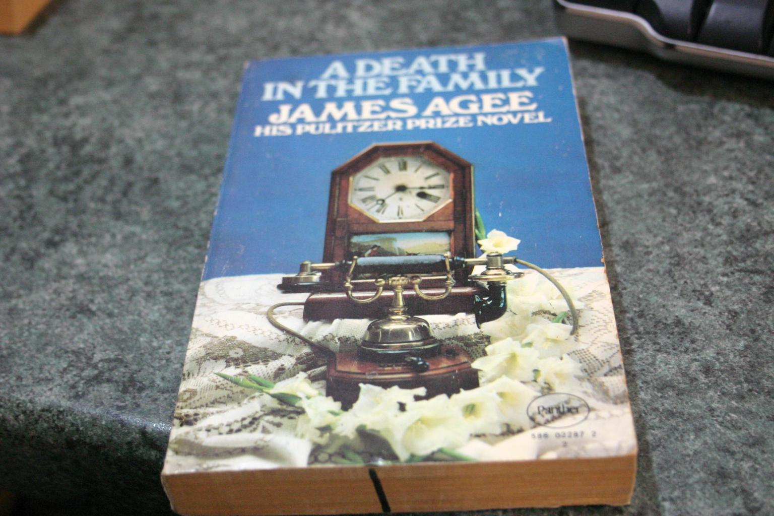 Death in the Family - James Agee