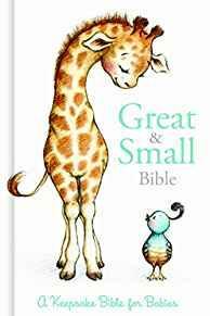 CSB Great and Small Bible (boxed): A Keepsake Bible for Babies