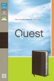 NIV, Quest Study Bible, Leathersoft, Brown/Gray: The Question and Answer Bible