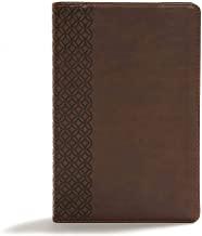 CSB Giant Print Center-Column Reference Bible, Brown LeatherTouch