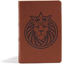CSB Kids Bible, Lion LeatherTouch