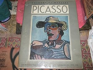 Paintings Drawings of Picasso