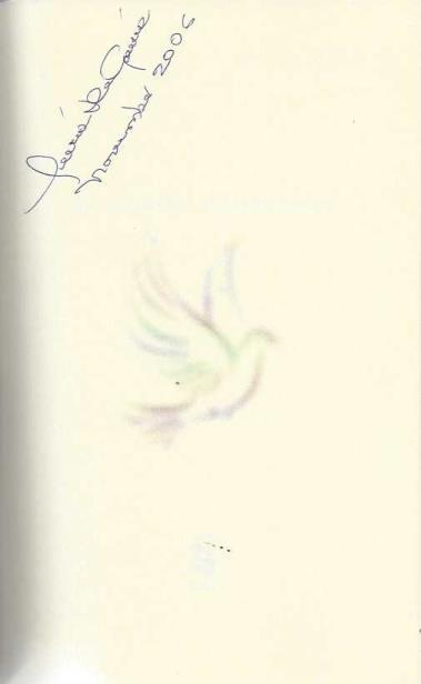 Building Bridges of Understanding: My Personal Quest for Unity and Peace
