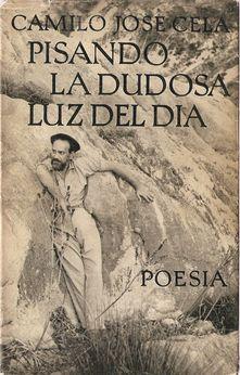 PISANDO LA DUDOSA LUZ DEL DÍA (POEMAS DE UNA ADOLESCENCIA CRUEL)