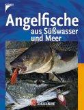 Angelfische aus Süßwasser und Meer.