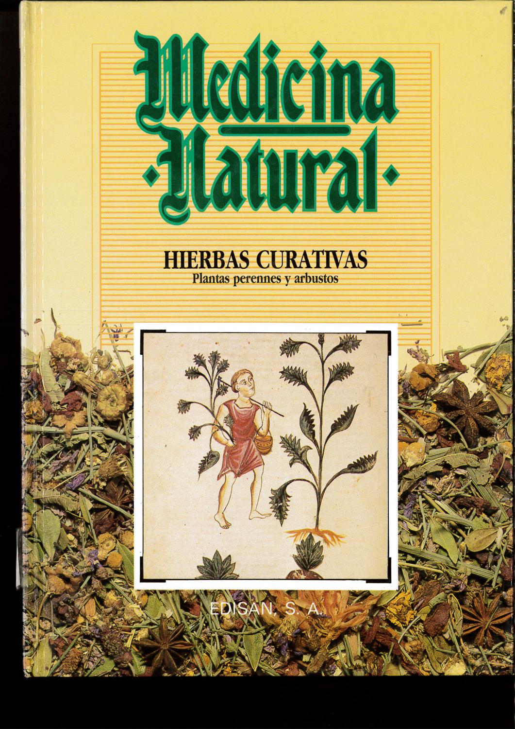 HIERBAS CURATIVAS (MEDICINA NATURAL Nº 4 - RAIMUNDO J. LARGO - FRANCISCO RUIZ DE SOLA