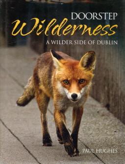 Doorstep Wilderness. A wilder side of Dublin