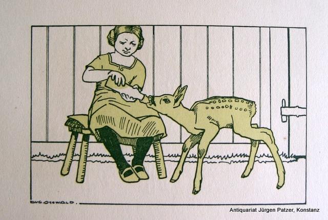 Das Wunderbuch für unsere Kleinen. Die erste Einführung in Welt und