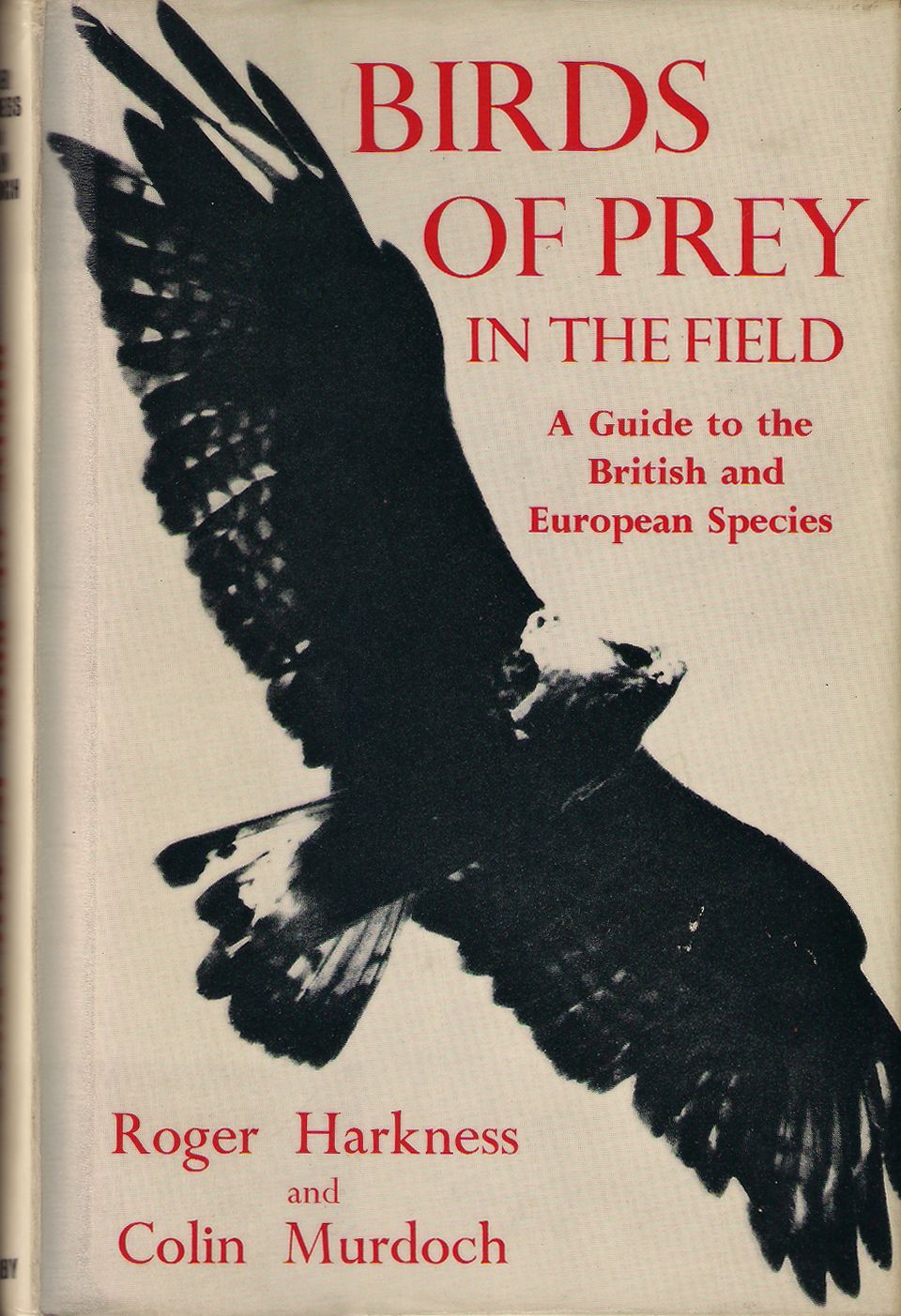 Birds of Prey in the Field: A Guide to the British and European Species