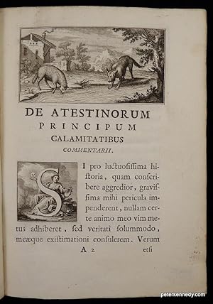 De Atestinorum Principum Calamitatibus Commentarii