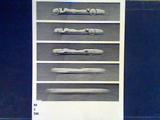 Aerodynamische Skulpturen : Wolfgang Sakowski Ausstellung der Städt. Galerie Erlangen, Oktober/November 1982; Kunstverein Ingolstadt Februar/März 1983; Eine Ausstellung im Rahmen des Arbeitskreises für gemeinsame Kulturarbeit bayerischer Städte,