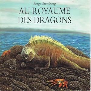 Au royaume des dragons