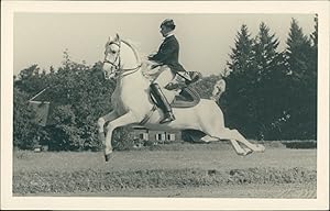 Österreich, Spanische Hofreitschule Wien. Capriole