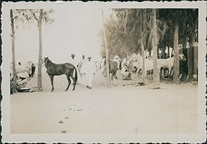 Sénégal, St Louis, courses équestres