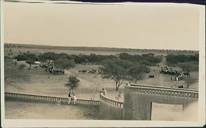 Sénégal, rendez-vous équestre