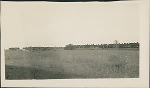 Afrique Noire, paysage à identifier