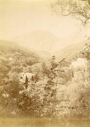 France, Paysage forestier