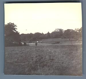 UK, Weston Village, in the Park