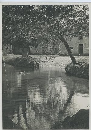 Cour de ferme