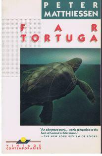 Far Tortuga.,