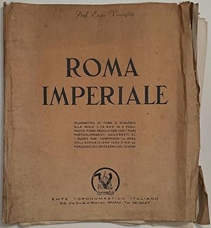 ROMA IMPERIALE-PLANIMETRIA DI ROMA E SUBURBIO 9 FOGLI-ENORME-mt.2 x 1,8