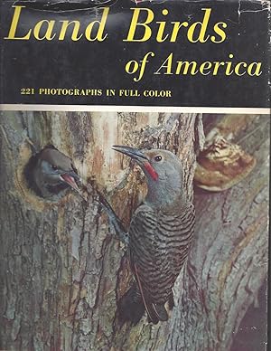 Land Birds of America