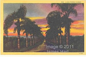 Vintage Postcard - A California Sunset