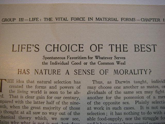 Best Title For Nature