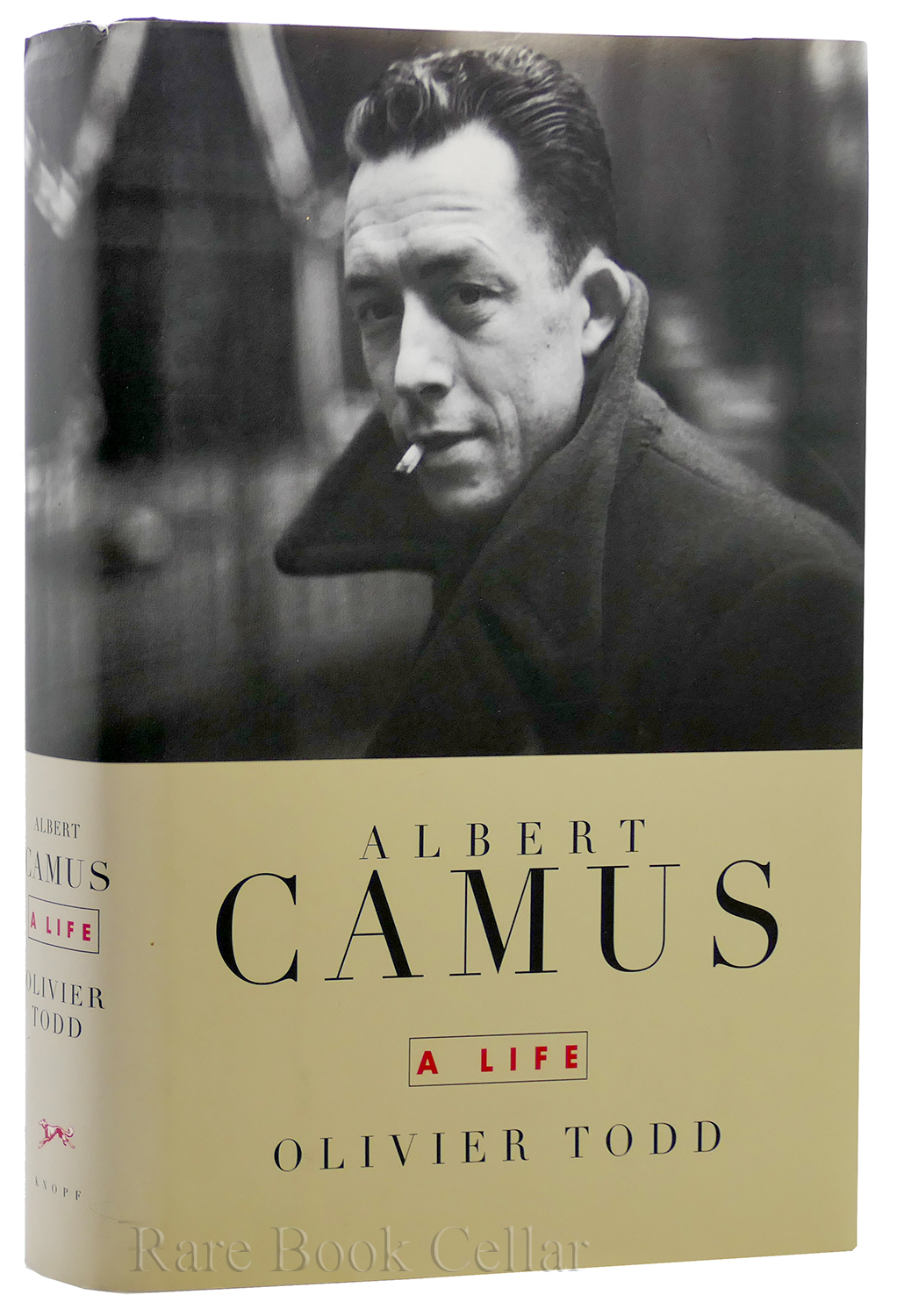 Albert Camus and the Quest for Meaning