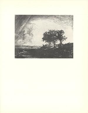 van Rijn Rembrandt-Three Trees-1968 Poster