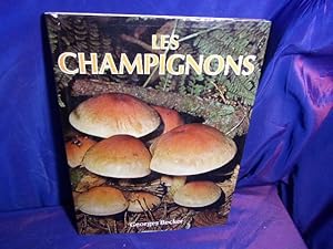 Les champignons