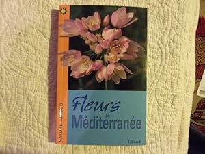 Fleurs de méditerranée