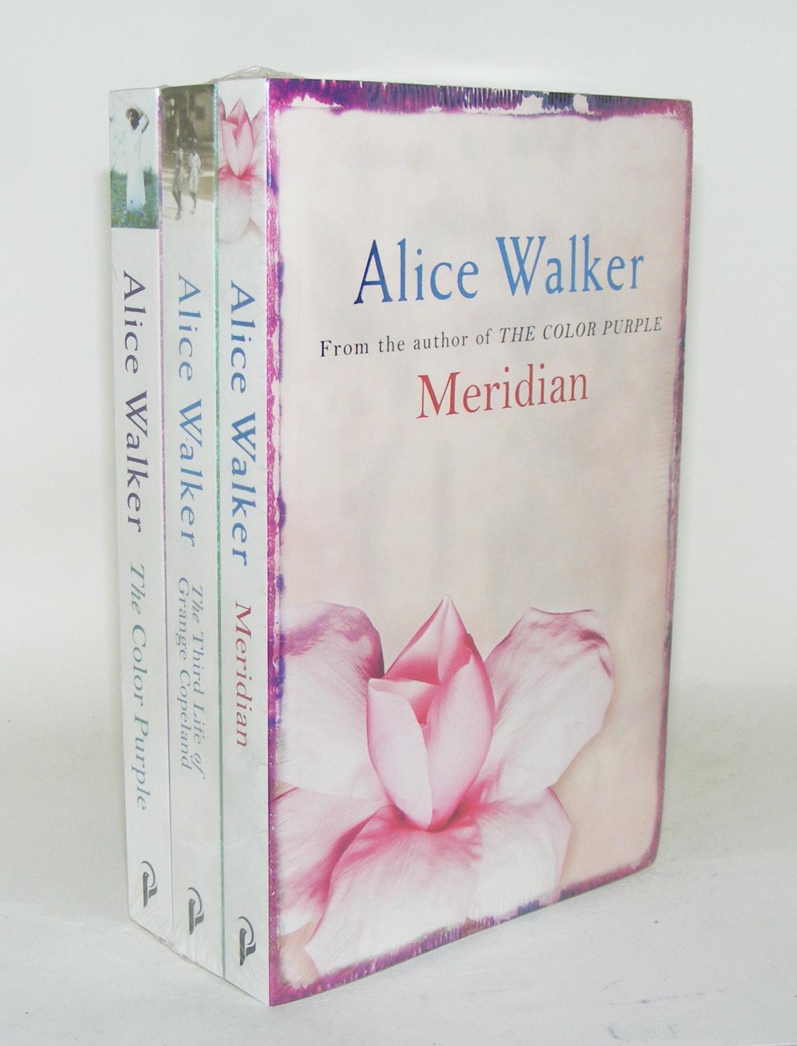essays on the color purple by alice walker essays on the color purple by alice walker