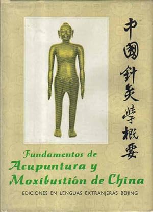 fundamentos de acupuntura stux