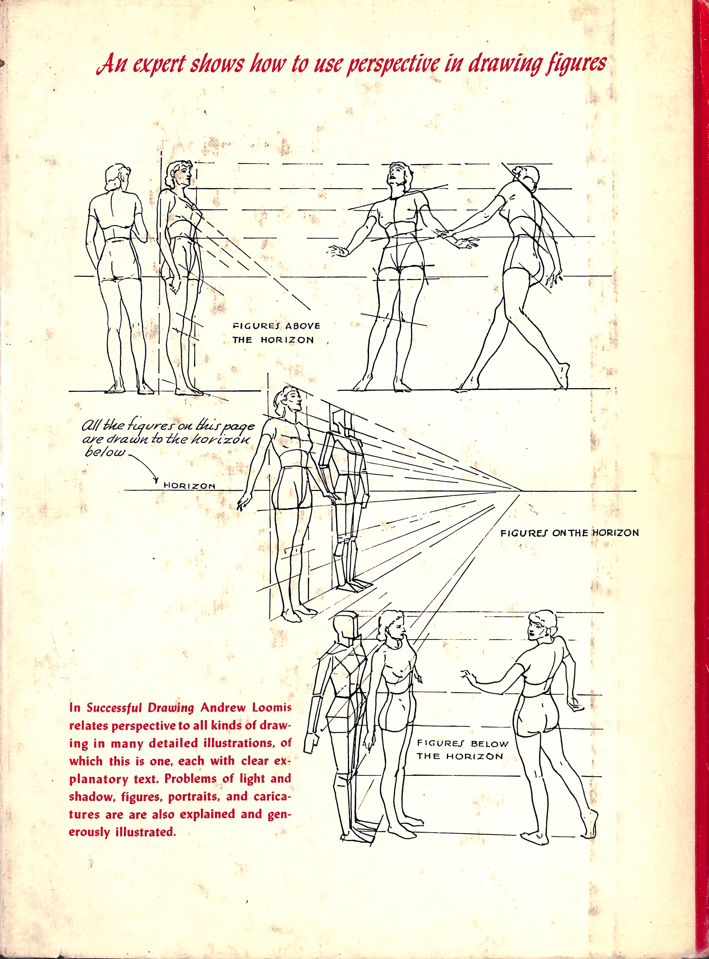 andrew loomis perspective