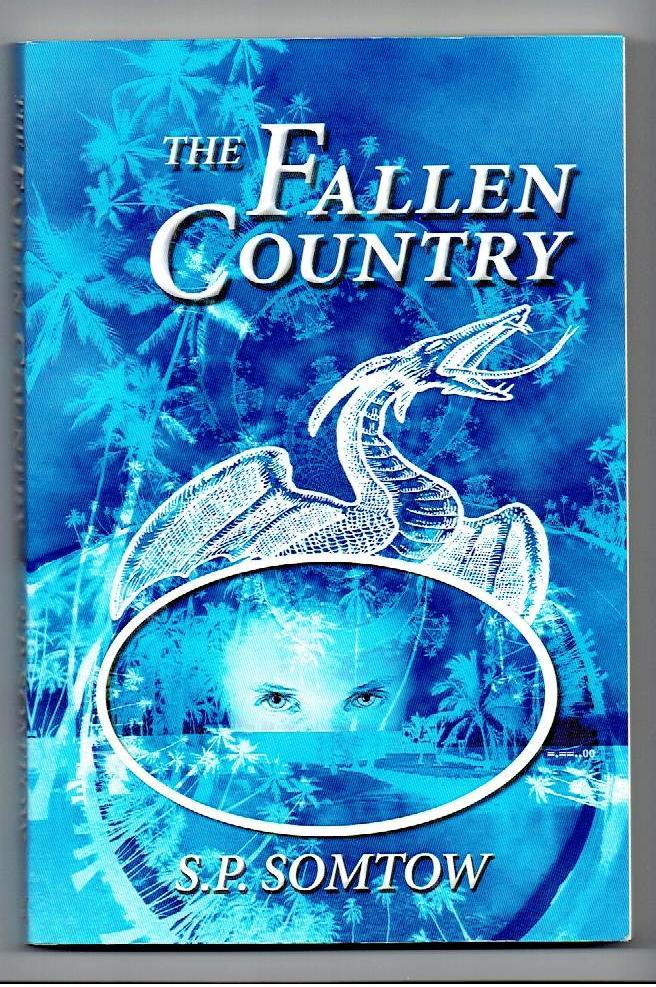 The Fallen Country - Somtow, S.P.