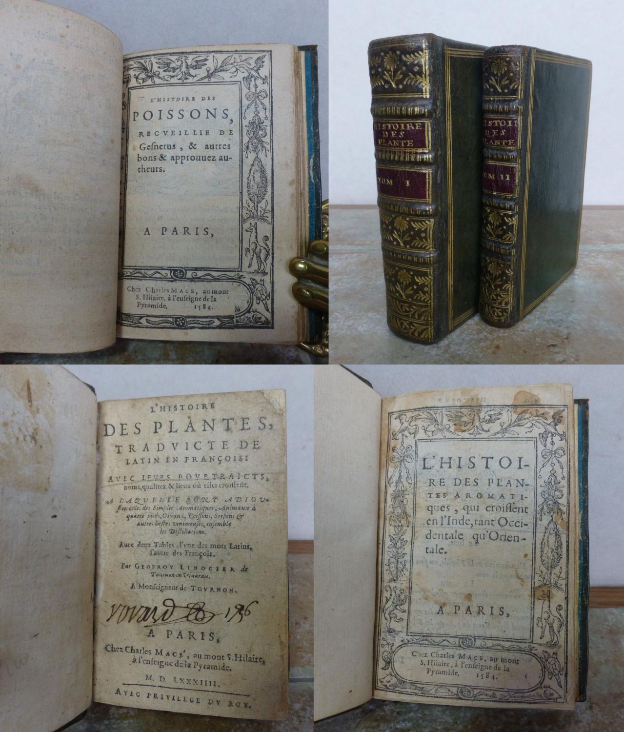 Lhistoire Des Plantes Traduicte De Latin