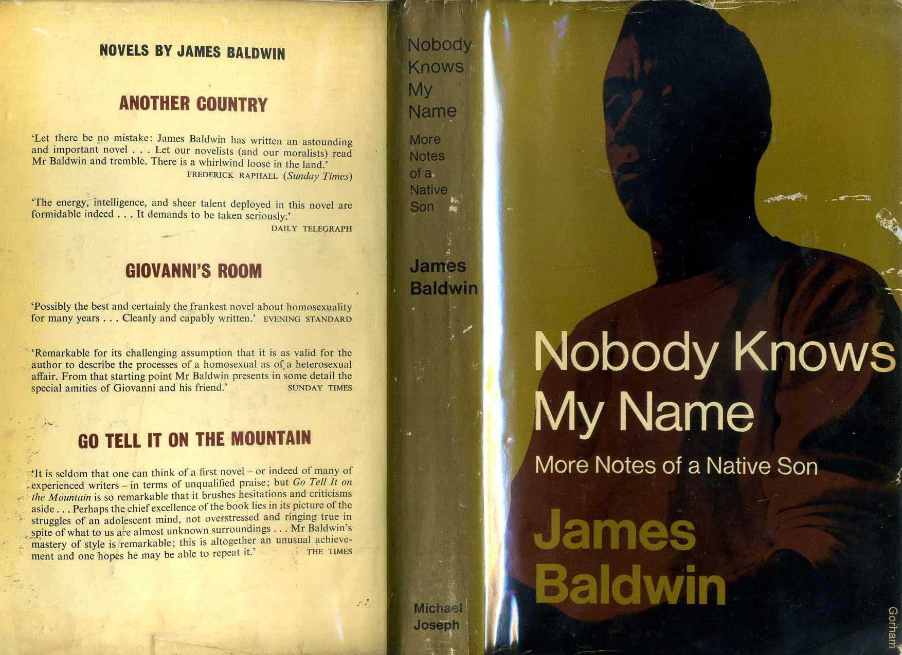 baldwins notes of a native son essay baldwins notes of a native son essay