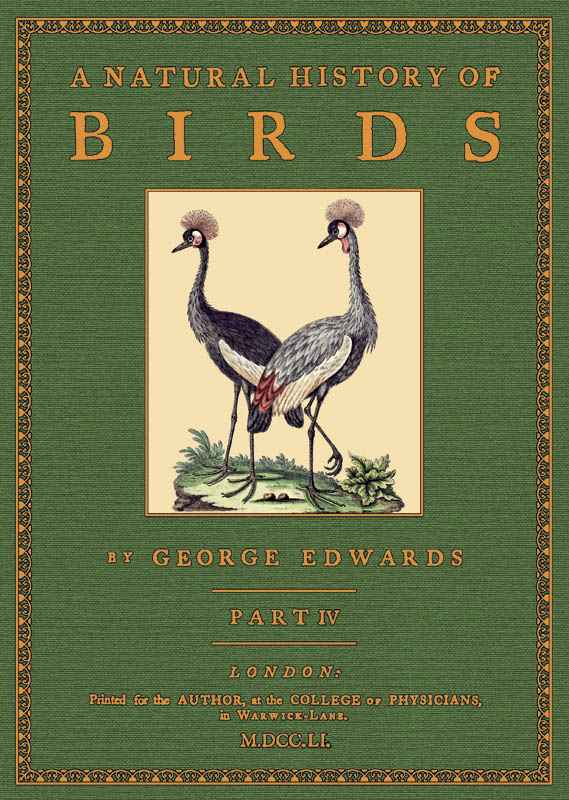 A Natural History of Birds, Volume 4 - Edwards, George