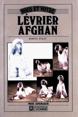 Vous et votre lévrier afghan